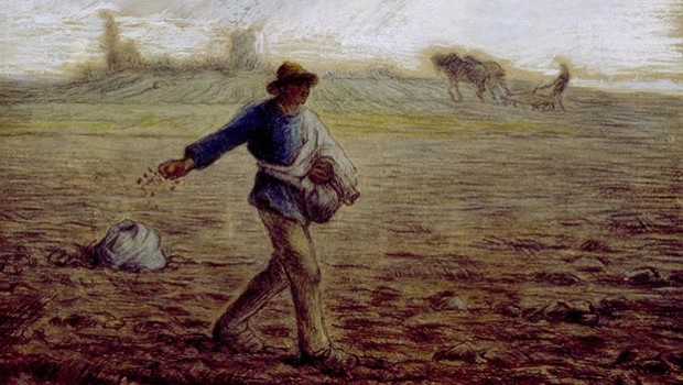 Greenhouse Churches, Scattering Seeds and the Kingdom of God