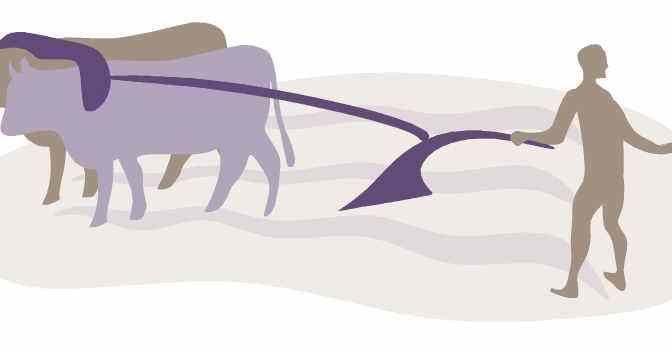 The Frustration of Discipleship