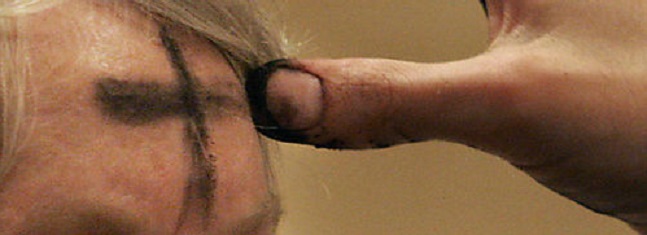 Even in the Ashes, there is life