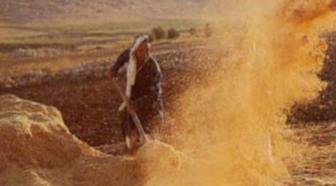 Sermon for Advent 3 – Messiah’s Winnowing Spoon